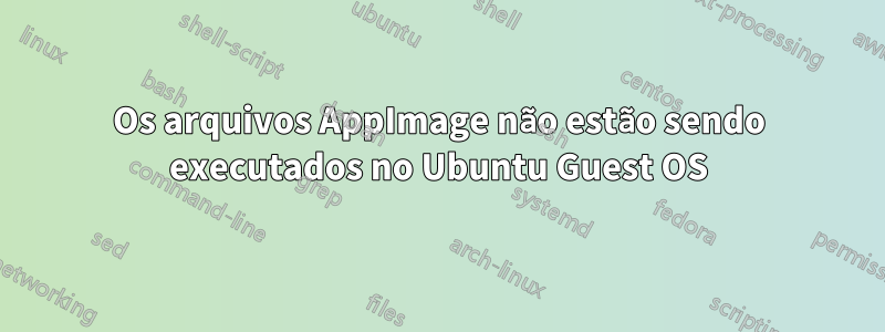 Os arquivos AppImage não estão sendo executados no Ubuntu Guest OS