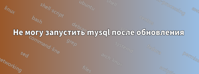 Не могу запустить mysql после обновления