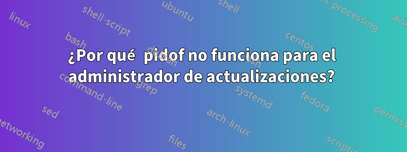 ¿Por qué pidof no funciona para el administrador de actualizaciones?