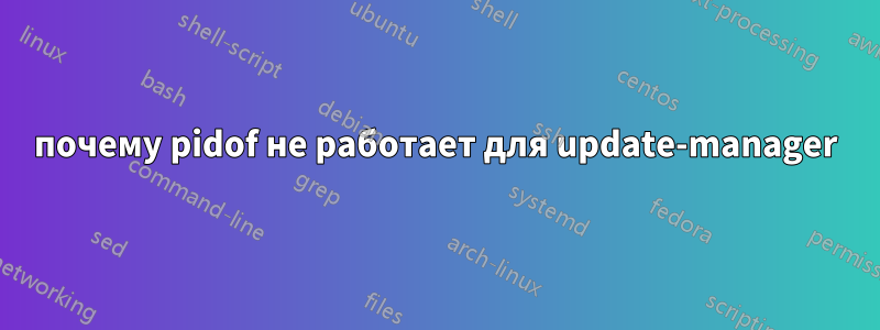 почему pidof не работает для update-manager