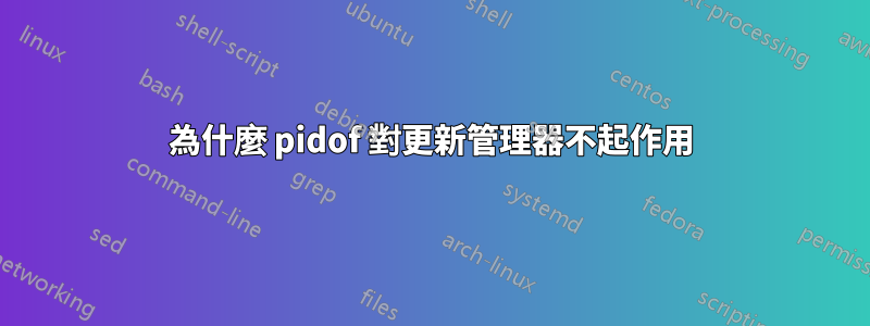 為什麼 pidof 對更新管理器不起作用