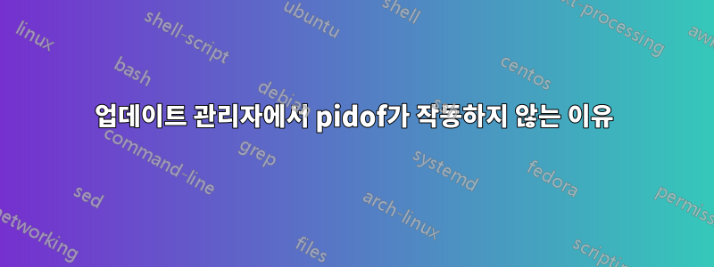 업데이트 관리자에서 pidof가 작동하지 않는 이유