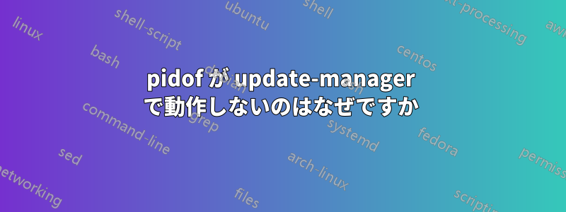 pidof が update-manager で動作しないのはなぜですか