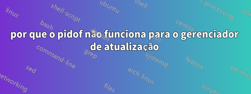 por que o pidof não funciona para o gerenciador de atualização