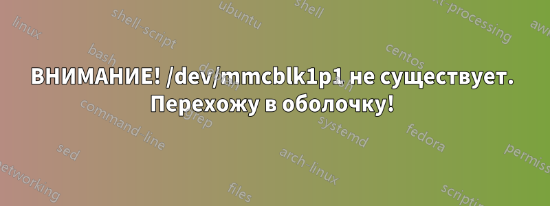 ВНИМАНИЕ! /dev/mmcblk1p1 не существует. Перехожу в оболочку!