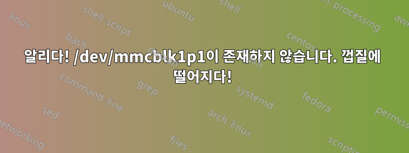 알리다! /dev/mmcblk1p1이 존재하지 않습니다. 껍질에 떨어지다!
