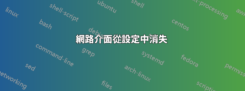 網路介面從設定中消失