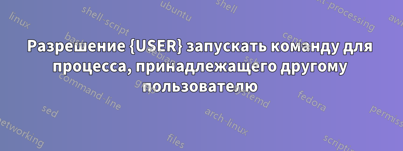 Разрешение {USER} запускать команду для процесса, принадлежащего другому пользователю