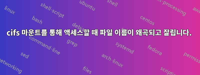 cifs 마운트를 통해 액세스할 때 파일 이름이 왜곡되고 잘립니다.