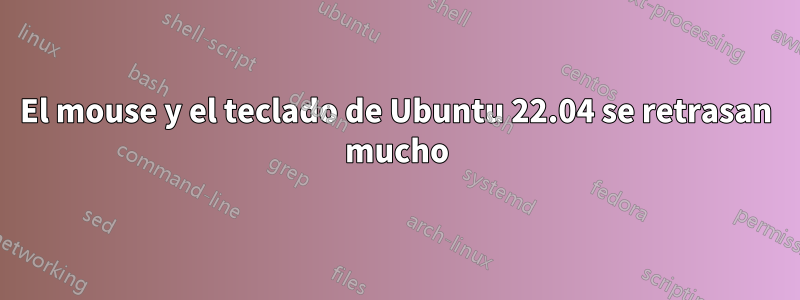 El mouse y el teclado de Ubuntu 22.04 se retrasan mucho