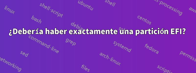 ¿Debería haber exactamente una partición EFI?