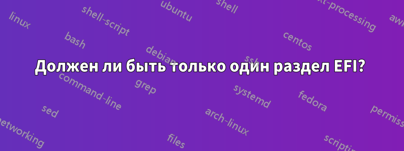 Должен ли быть только один раздел EFI?