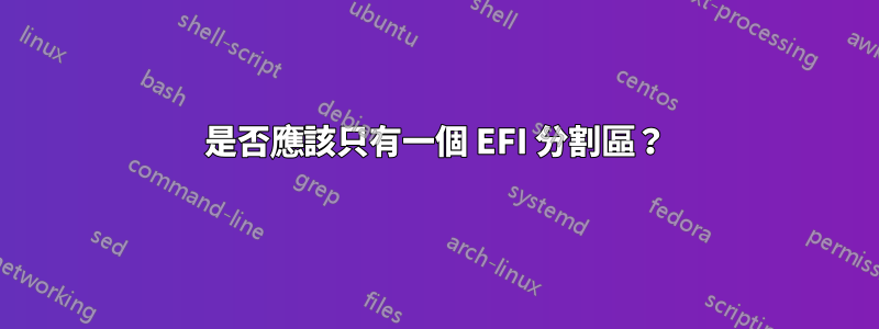 是否應該只有一個 EFI 分割區？