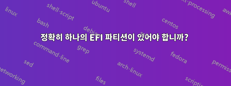 정확히 하나의 EFI 파티션이 있어야 합니까?
