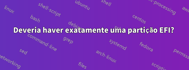 Deveria haver exatamente uma partição EFI?