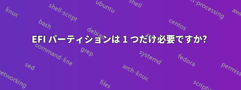 EFI パーティションは 1 つだけ必要ですか?