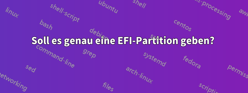 Soll es genau eine EFI-Partition geben?