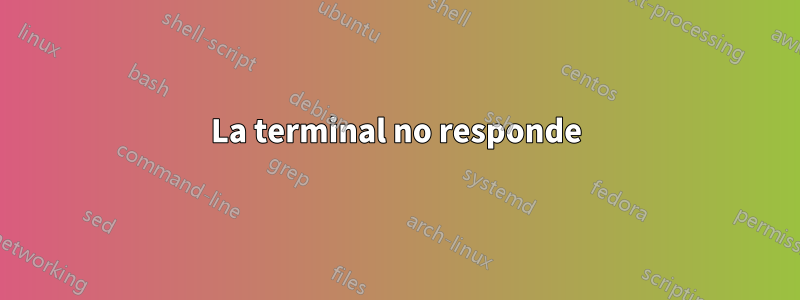 La terminal no responde