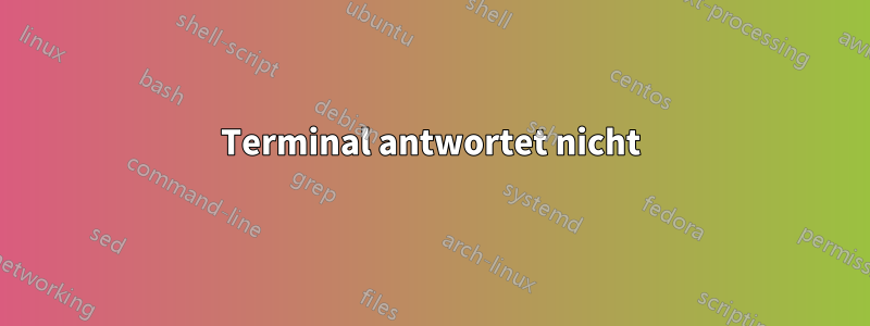 Terminal antwortet nicht