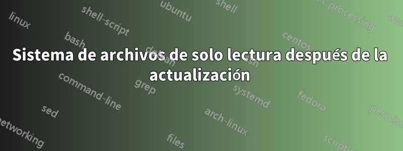 Sistema de archivos de solo lectura después de la actualización