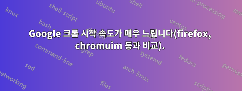 Google 크롬 시작 속도가 매우 느립니다(firefox, chromuim 등과 비교).