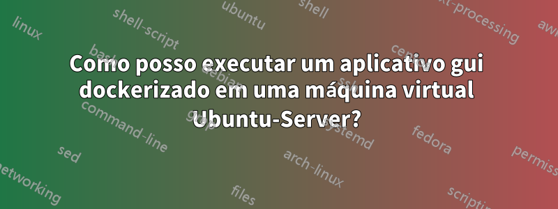 Como posso executar um aplicativo gui dockerizado em uma máquina virtual Ubuntu-Server?