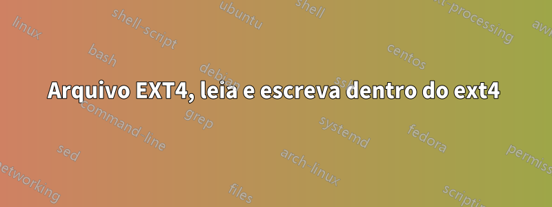 Arquivo EXT4, leia e escreva dentro do ext4