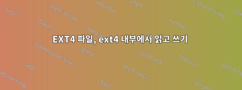 EXT4 파일, ext4 내부에서 읽고 쓰기