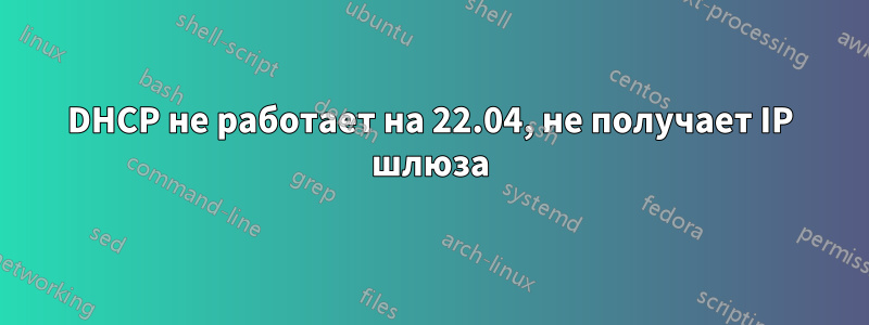 DHCP не работает на 22.04, не получает IP шлюза
