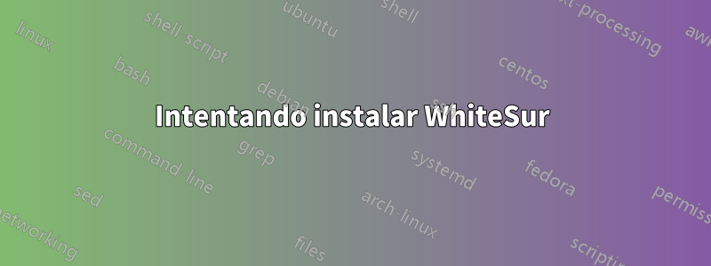 Intentando instalar WhiteSur