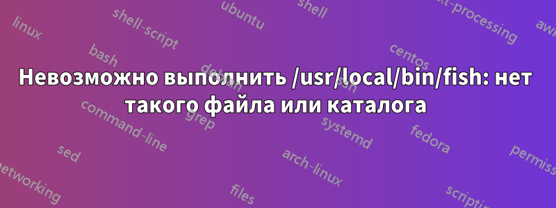 Невозможно выполнить /usr/local/bin/fish: нет такого файла или каталога
