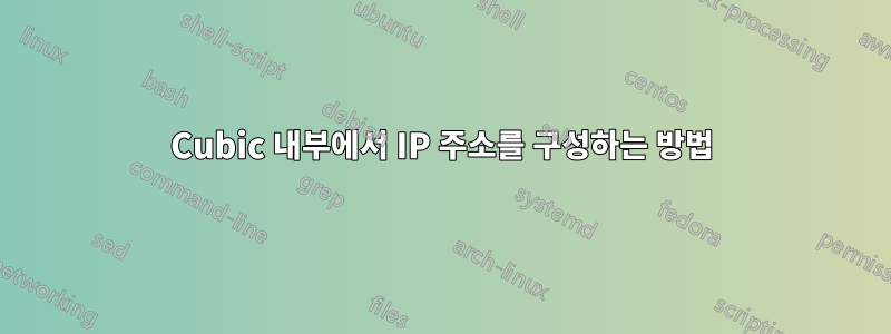 Cubic 내부에서 IP 주소를 구성하는 방법