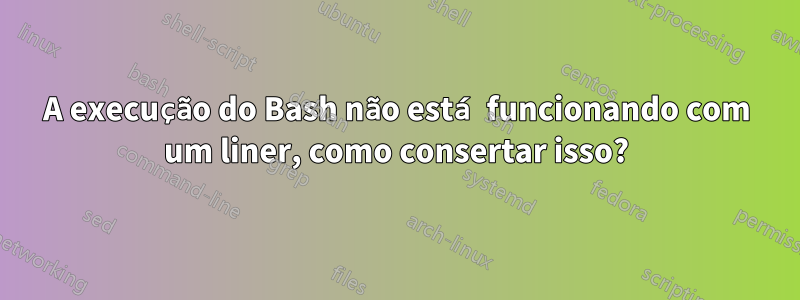 A execução do Bash não está funcionando com um liner, como consertar isso?