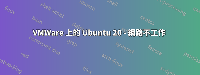 VMWare 上的 Ubuntu 20 - 網路不工作