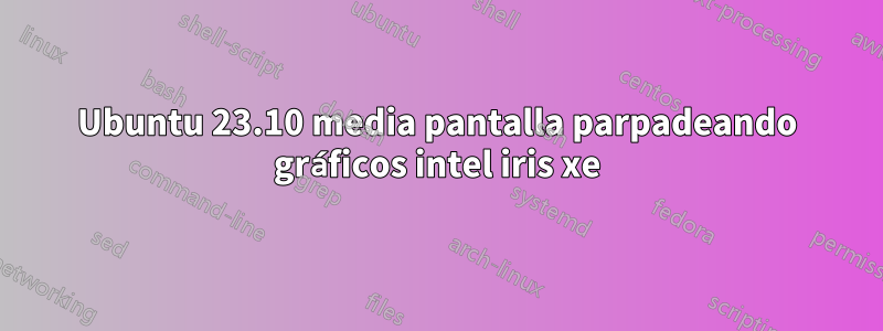 Ubuntu 23.10 media pantalla parpadeando gráficos intel iris xe
