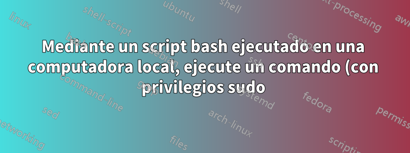 Mediante un script bash ejecutado en una computadora local, ejecute un comando (con privilegios sudo) en un servidor remoto