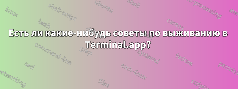 Есть ли какие-нибудь советы по выживанию в Terminal.app?