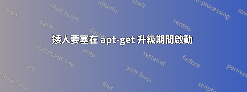 矮人要塞在 apt-get 升級期間啟動