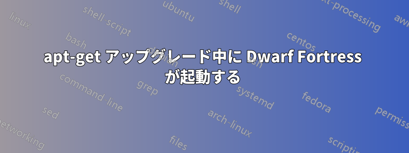 apt-get アップグレード中に Dwarf Fortress が起動する