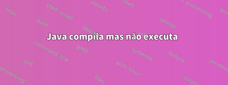 Java compila mas não executa 