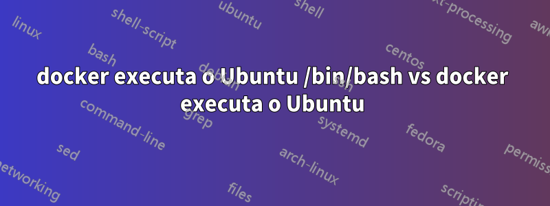 docker executa o Ubuntu /bin/bash vs docker executa o Ubuntu