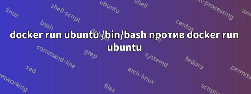 docker run ubuntu /bin/bash против docker run ubuntu