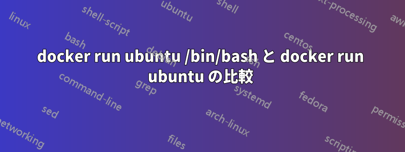 docker run ubuntu /bin/bash と docker run ubuntu の比較