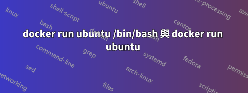 docker run ubuntu /bin/bash 與 docker run ubuntu