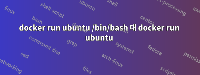 docker run ubuntu /bin/bash 대 docker run ubuntu