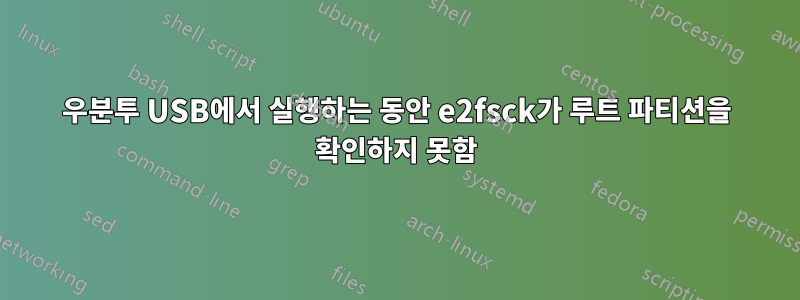 우분투 USB에서 실행하는 동안 e2fsck가 루트 파티션을 확인하지 못함