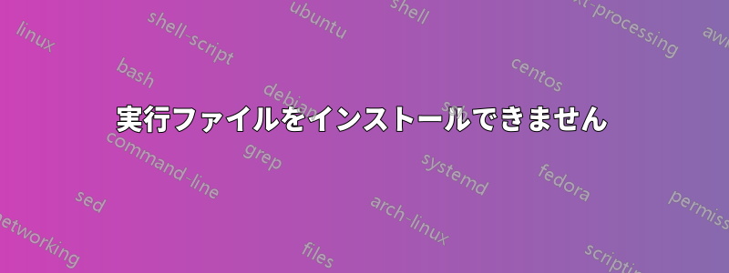 実行ファイルをインストールできません