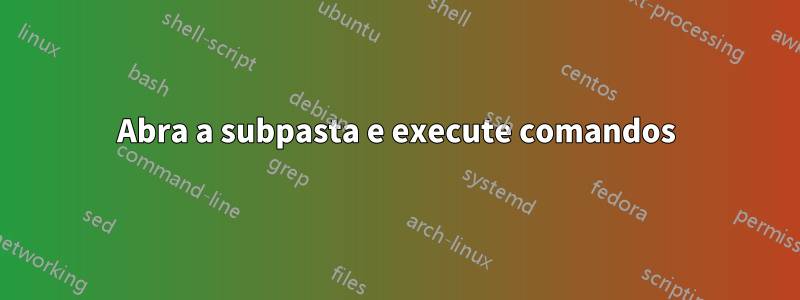 Abra a subpasta e execute comandos