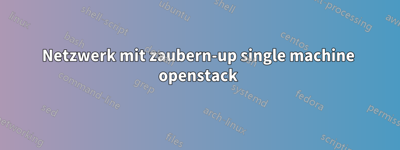 Netzwerk mit zaubern-up single machine openstack