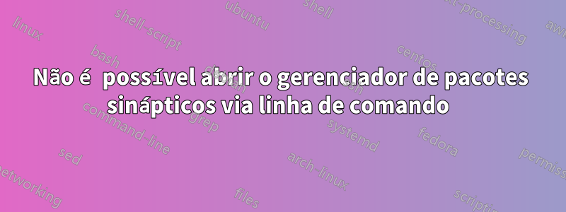 Não é possível abrir o gerenciador de pacotes sinápticos via linha de comando 